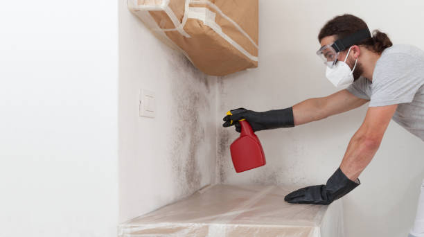 Professional Mold Inspection And Testing technician working in Fuquay-Varina, NC