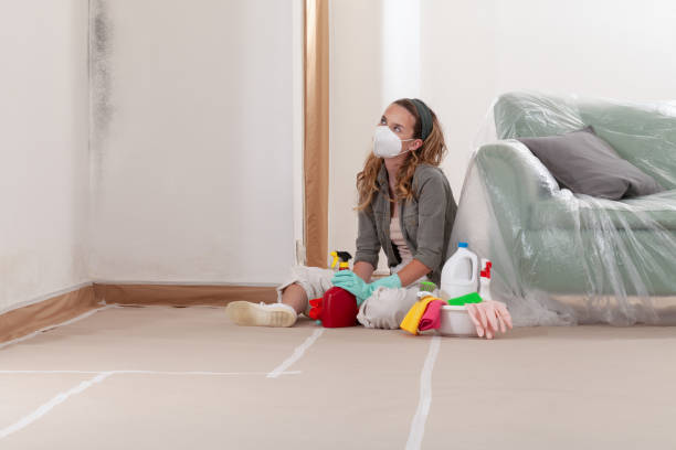 Reliable Mold Inspection And Testing contractor in Fuquay-Varina, NC by 24 Hour Mold Removal